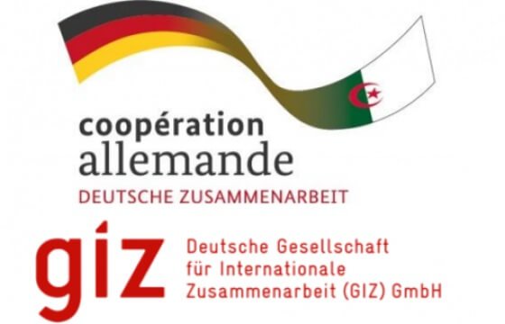 مؤسسة التعاون الألماني Giz