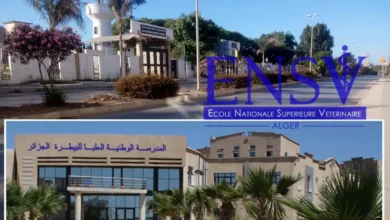 المدرسة الوطنية العليا للبيطرة الجزائر