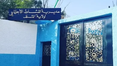 مديرية النشاط الاجتماعي والتضامن الشلف