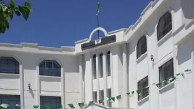 بلدية الحدادة