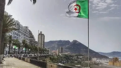 بريرة