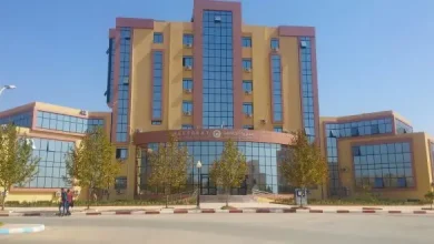 جامعة الشلف