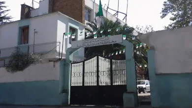 محافظة الغابات المدية