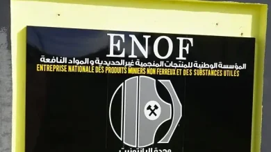 الشركة الوطنية للمنتجات المنجمية غير الحديدية والمواد المفيدة ENOF