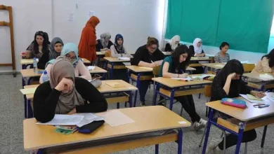 التخصصات والشهادات المقبولة