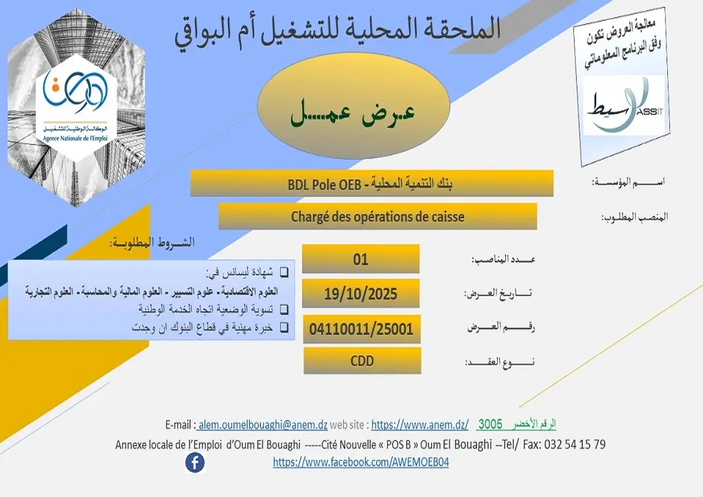 بنك التنمية المحلية BDL