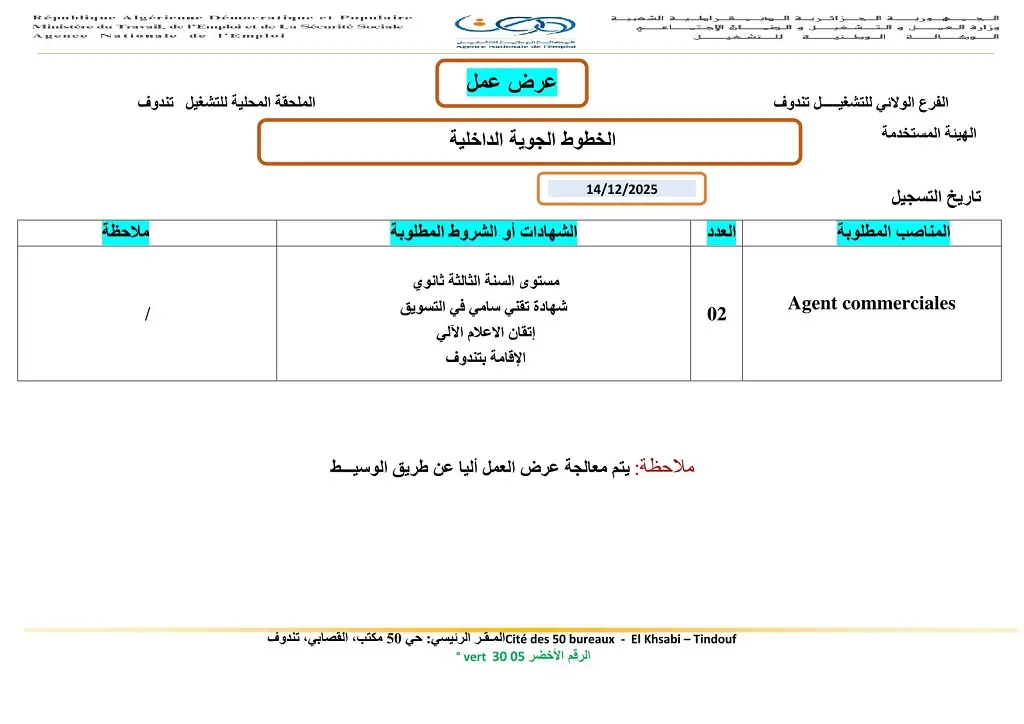 شركة الخطوط الجوية الداخلية Domestic Airlines